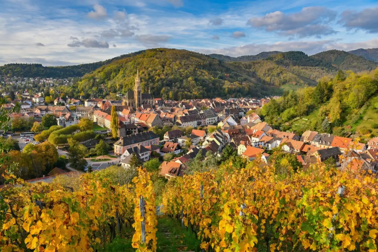 Vue de Thann